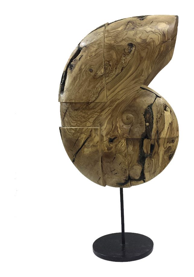 Caracola 7 — Caracolas, Javier Salvadores