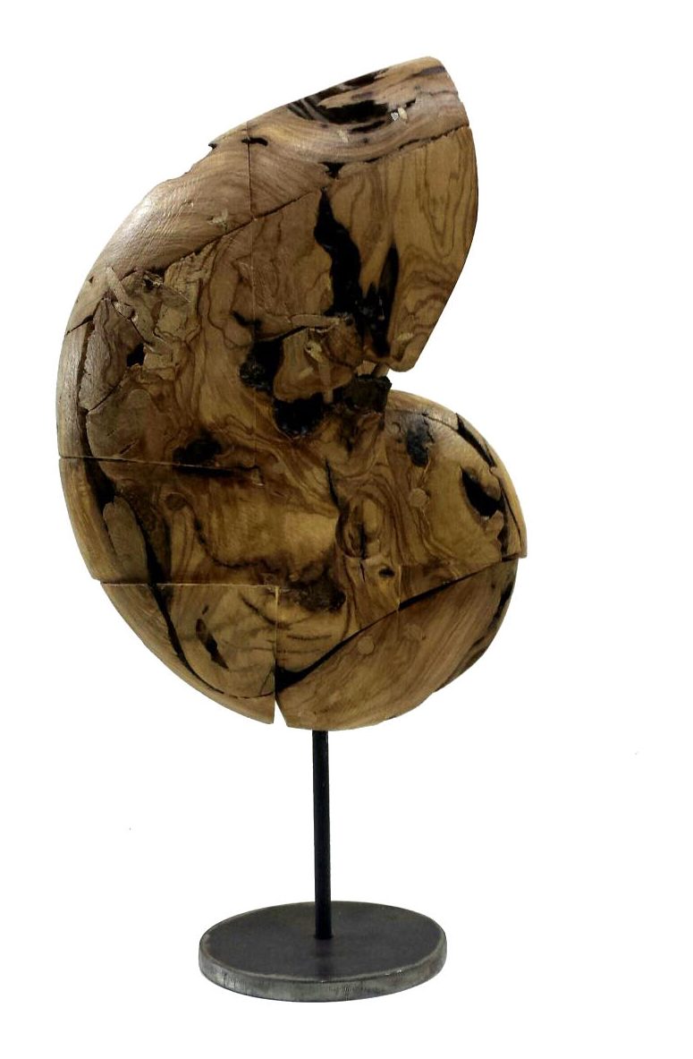 Caracola 2 — Caracolas, Javier Salvadores