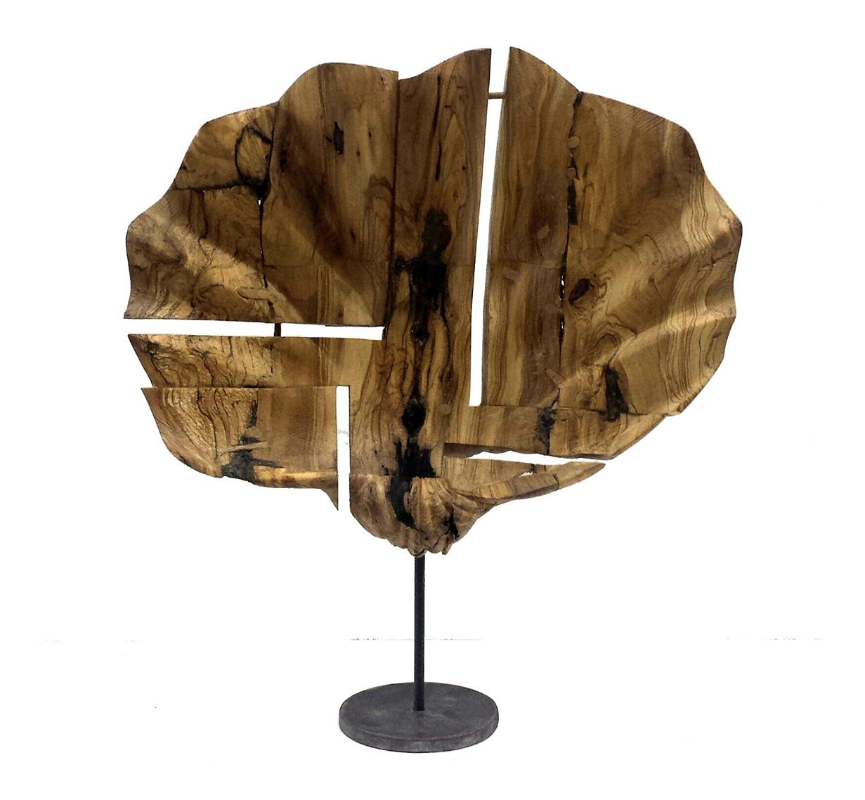 Caracola 4 — Caracolas, Javier Salvadores
