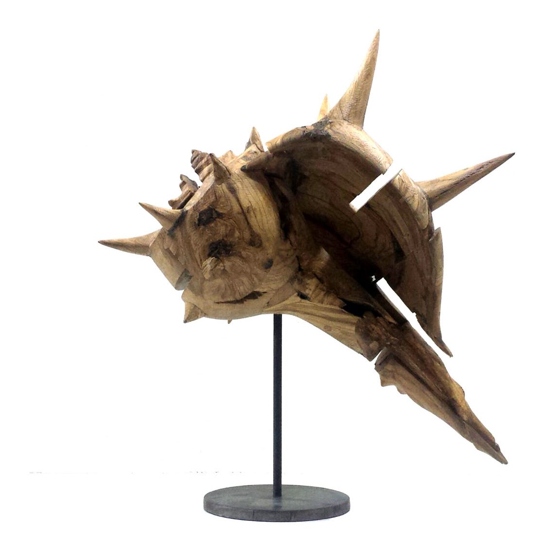 Caracola 6 — Caracolas, Javier Salvadores
